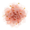 Haarbloem goudkleurige stip roze