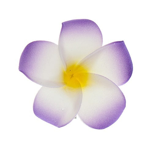 Haarbloem Hawaii paars