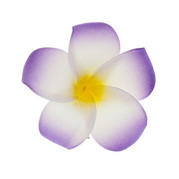 Haarbloem Hawaii paars