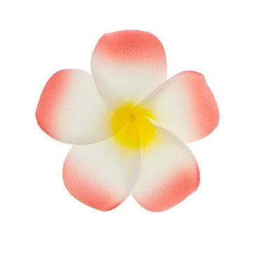 Haarbloem Hawaii rood