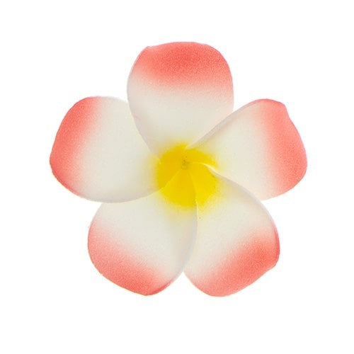 Haarbloem Hawaii rood