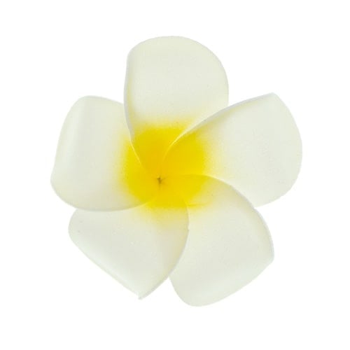 Haarbloem Hawaii wit
