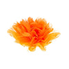 Haarbloem tule oranje