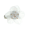 Haarbloem wit bladeren rond