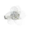 Haarbloem wit bladeren rond