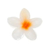 Haarklem glanzende bloem wit