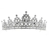 Zilverkleurige tiara met bloemetjes van steentjes van voeren