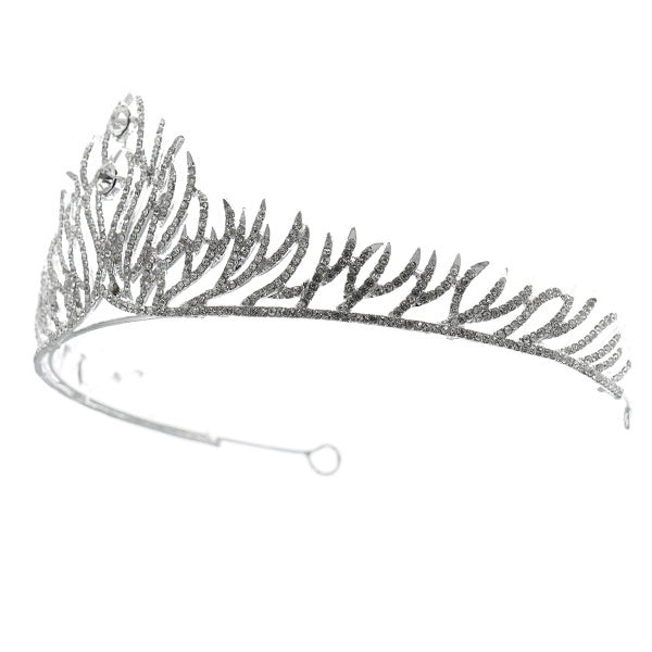 Tiara zilverkleurig verfijnde twijgen